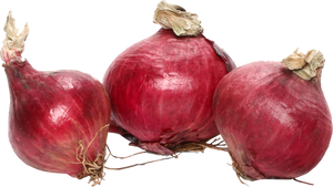 RED ONION SM