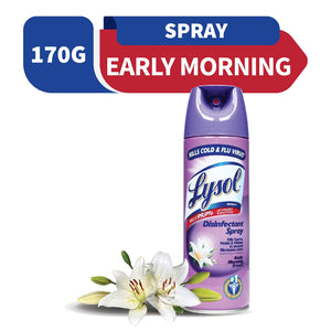 LYSOL DISINFECTANT SPRAY E.M.BRZE 170GM