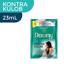 DOWNY INDOOR DRY 22ML